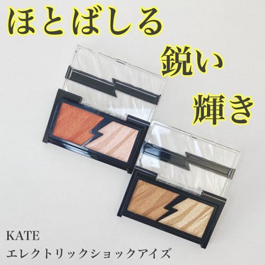 エレクトリックショックアイズ /KATE/アイシャドウパレットを使ったクチコミ（1枚目）