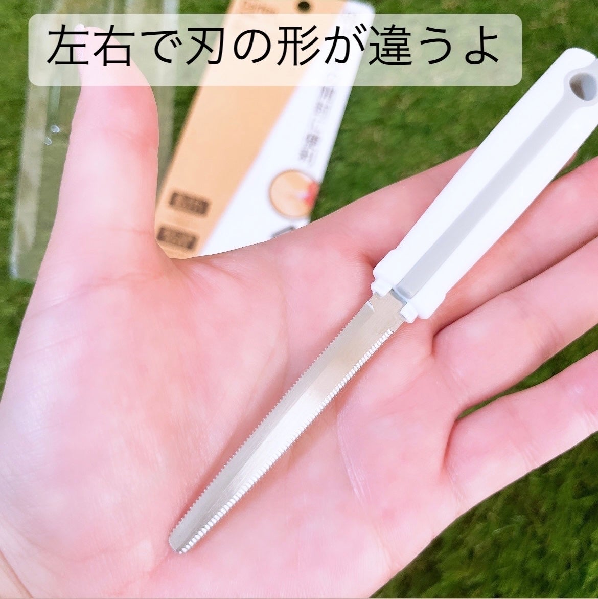 ðð©·ðIrohaãã©ããðââïž on LIPS ãDAISOã§èŠã€ããæ®µããŒã«ã«ãã¿ãŒãä»äœ¿çšããŠãã®ããã¿ã£ãŠ..ãïŒ2æç®ïŒ