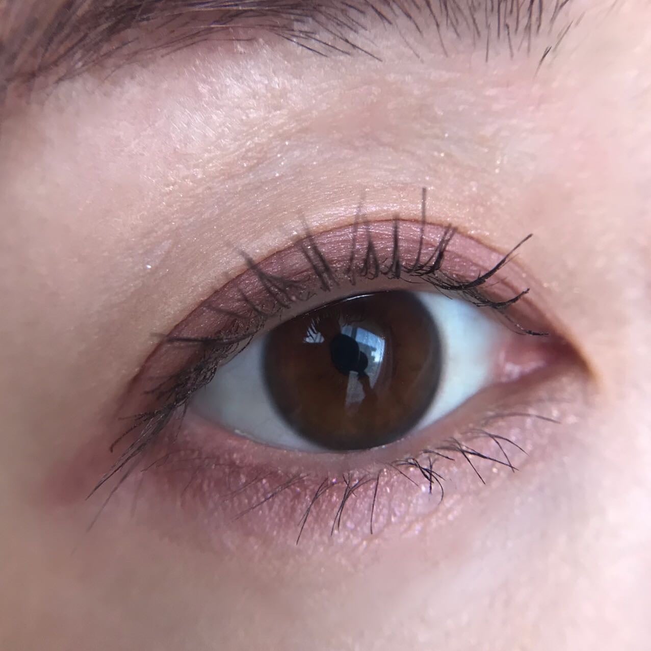 アイカラーレーション/LUNASOL/アイシャドウパレットを使ったクチコミ(6枚目)