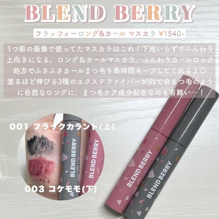 プレイフル リキッドアイライナー/BLEND BERRY/リキッドアイライナーを使ったクチコミ(5枚目)