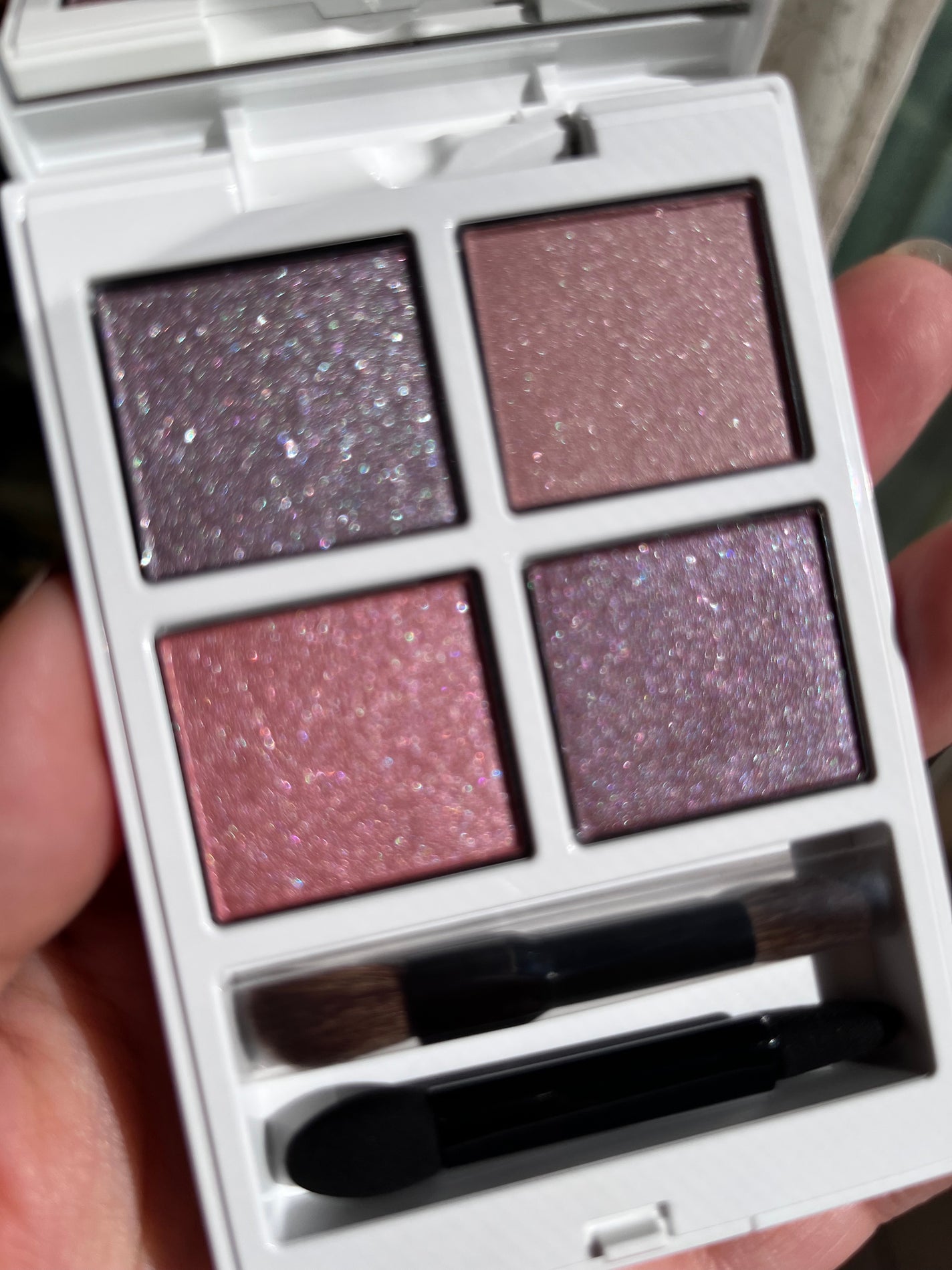 ホリデー アディクション サイレント ウィッシュⅠ/ADDICTION/メイクアップキットを使ったクチコミ(4枚目)