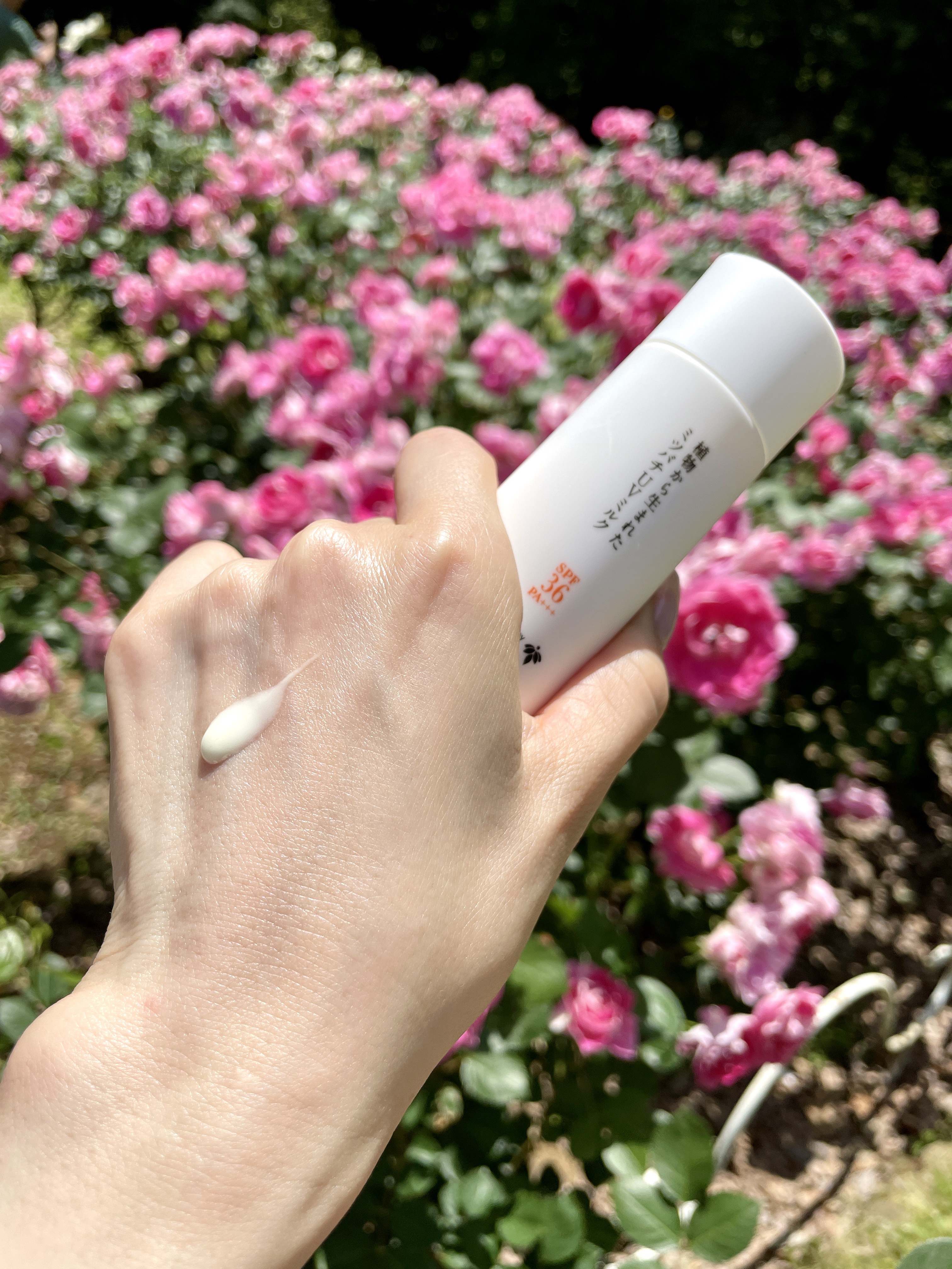 植物から生まれたミツバチUVミルク/アピセラピーコスメティクス/日焼け止めミルクを使ったクチコミ（3枚目）