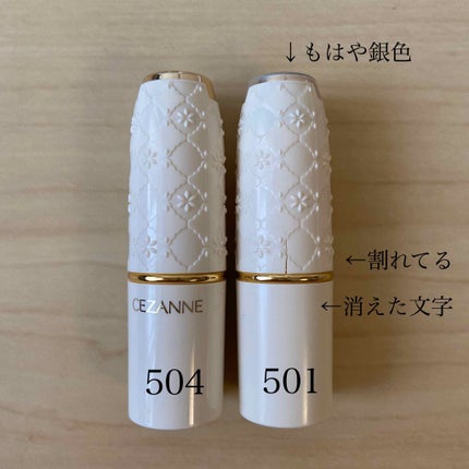 ラスティング リップカラーN/CEZANNE/口紅を使ったクチコミ(2枚目)