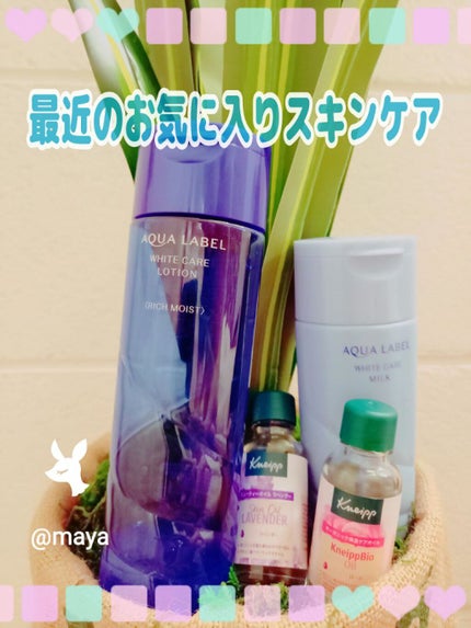 ブライトニングケア ローション RM(医薬部外品)/アクアレーベル/化粧水を使ったクチコミ(1枚目)