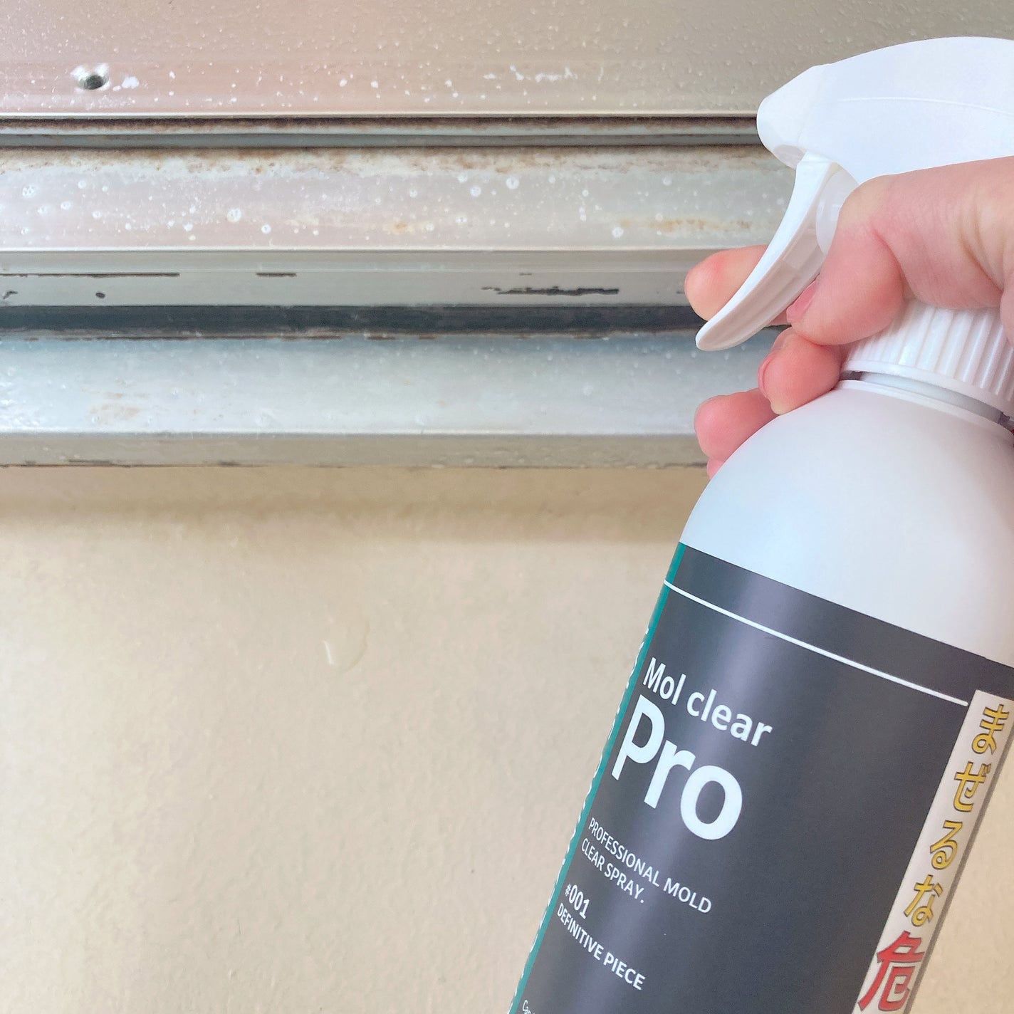 おもち on LIPS 「コエタスのモニターキャンペーンで頂きました!《商品名》Molc..」(3枚目)