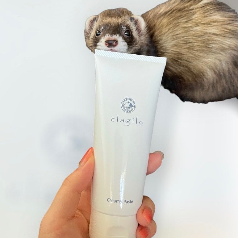 クレイル クリーミーペースト/clargile/その他洗顔料を使ったクチコミ(2枚目)