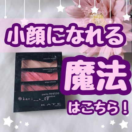 パーツリサイズシャドウ/KATE/アイシャドウパレットを使ったクチコミ(1枚目)