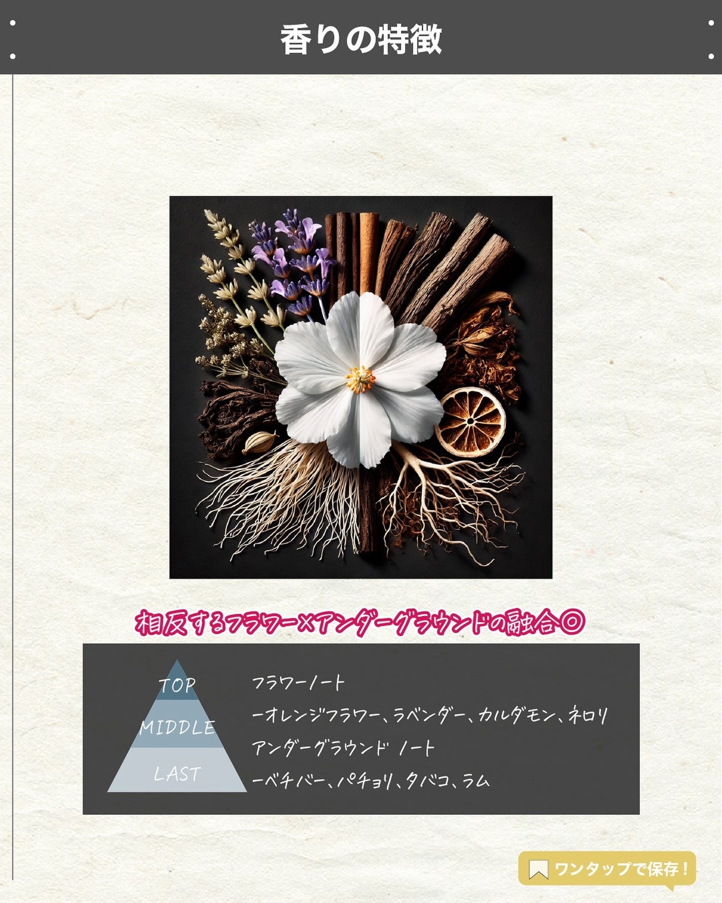 エスログ┊1日1分のモテ香水紹介 on LIPS 「.『新作香水濃厚官能』🌳製品情報🌳ParfumsGivench..」(3枚目)