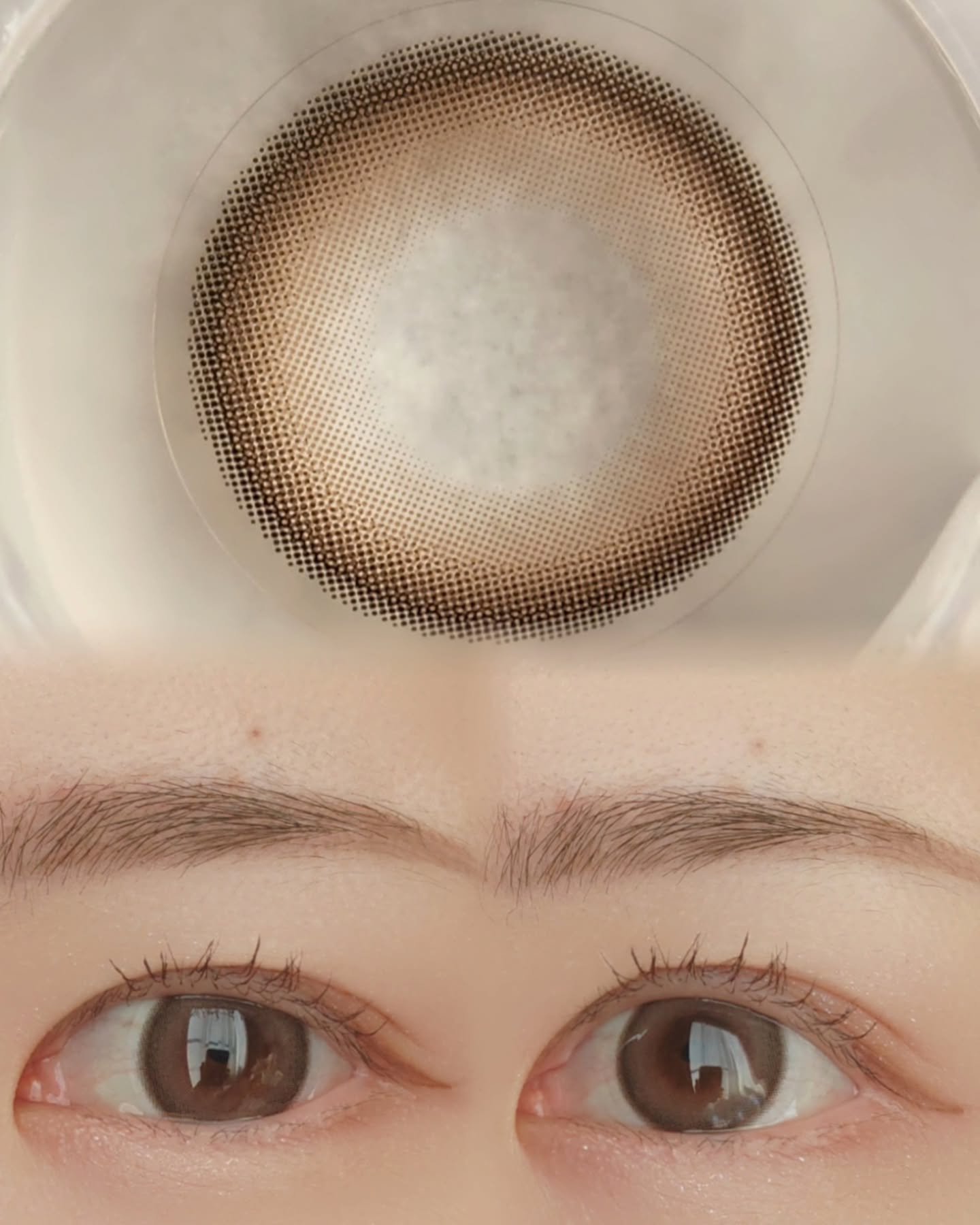 Moodnight 1day Mood Brown/OLENS/ワンデー（１DAY）カラコンを使ったクチコミ（2枚目）