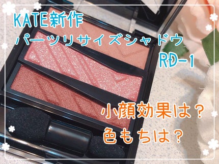 パーツリサイズシャドウ/KATE/アイシャドウパレットを使ったクチコミ(1枚目)