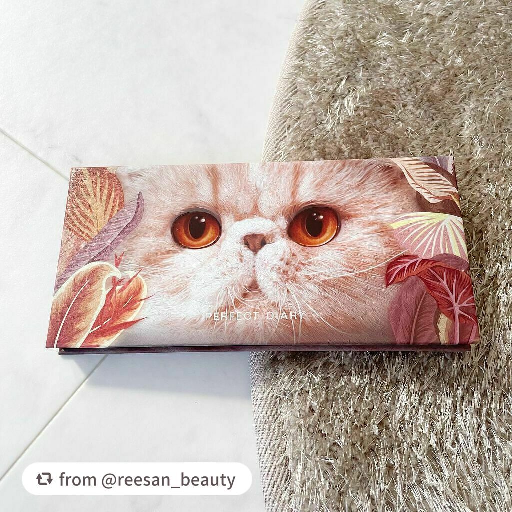 エクスプローラ12色 動物アイシャドウパレット/PERFECT DIARY/アイシャドウパレットを使ったクチコミ(6枚目)