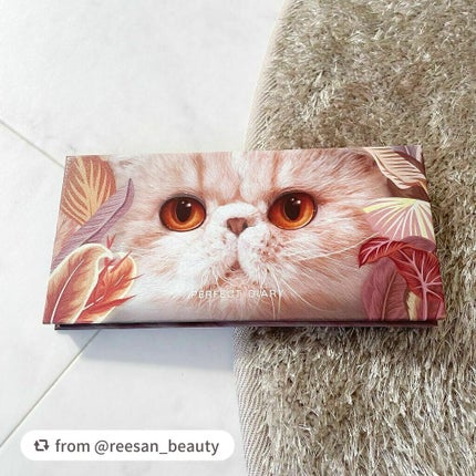 エクスプローラ12色 動物アイシャドウパレット/PERFECT DIARY/アイシャドウパレットを使ったクチコミ(6枚目)