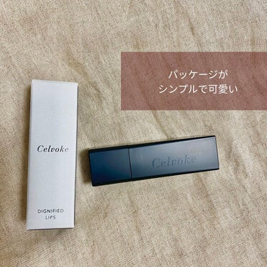 ディグニファイド リップス 10 レンガ/Celvoke/口紅を使ったクチコミ（3枚目）