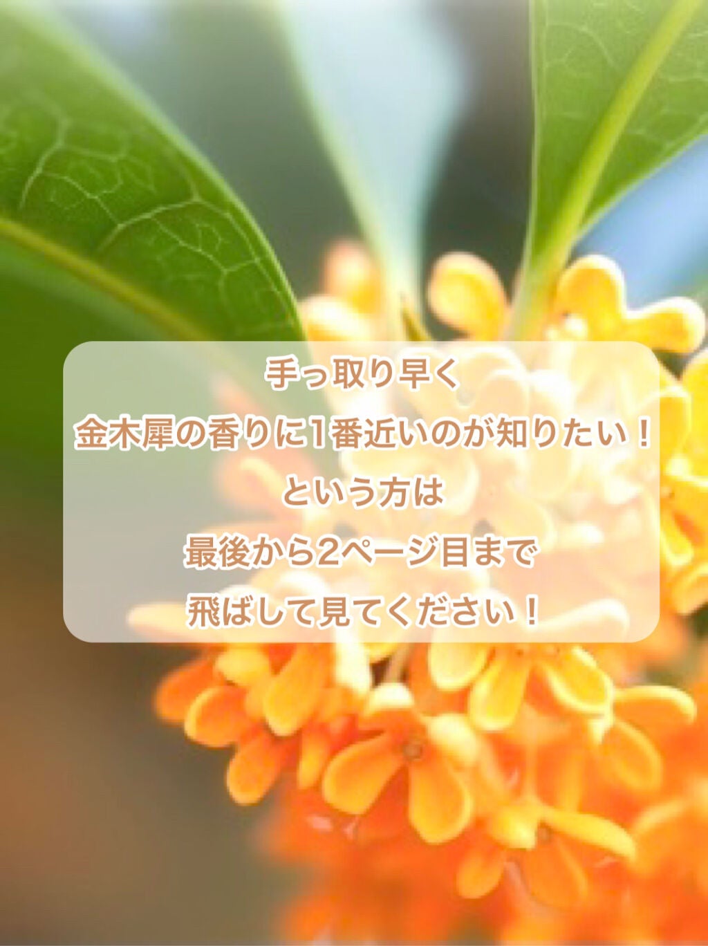 舞妓夢コロン/京都舞妓コスメ/香水(レディース)を使ったクチコミ(2枚目)