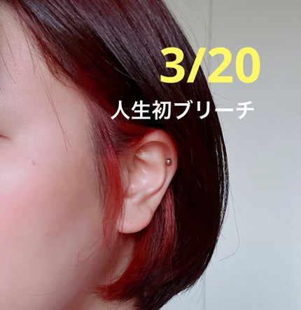 エンシェールズ エンシェールズ カラートリートメント プチのクチコミ「
ブリーチから4.5日でピンクのイヤーカラーが落ちてしまったので、友達に教えてもらったセルフカ.....」(1枚目)