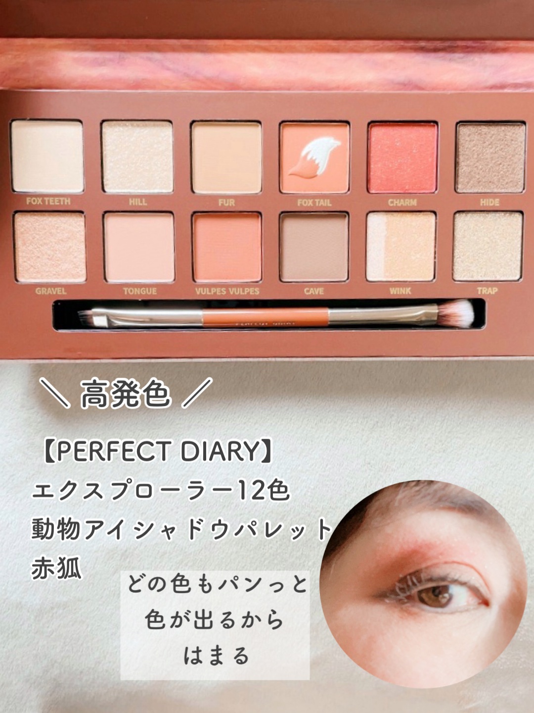 エクスプローラ12色 動物アイシャドウパレット/PERFECT DIARY/アイシャドウパレットを使ったクチコミ（3枚目）