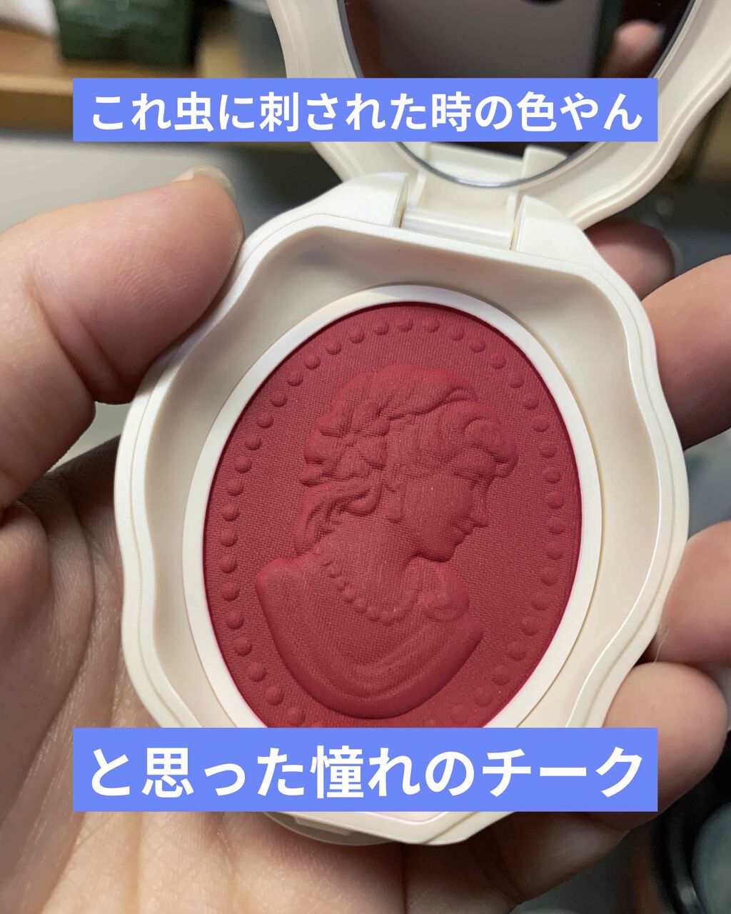 プレスト チークカラー N/レ・メルヴェイユーズ ラデュレ/パウダーチークを使ったクチコミ(1枚目)