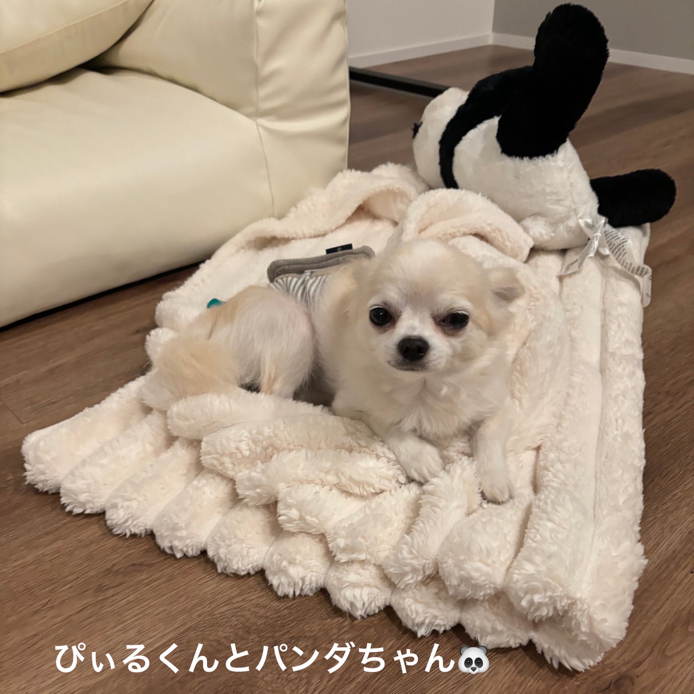 長崎ルルルン(チューリップの香り)/ルルルン/シートマスク・パックを使ったクチコミ(9枚目)