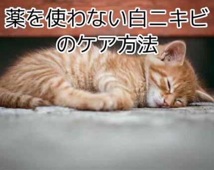 パパウォッシュ/パパウォッシュ/洗顔パウダーを使ったクチコミ(1枚目)