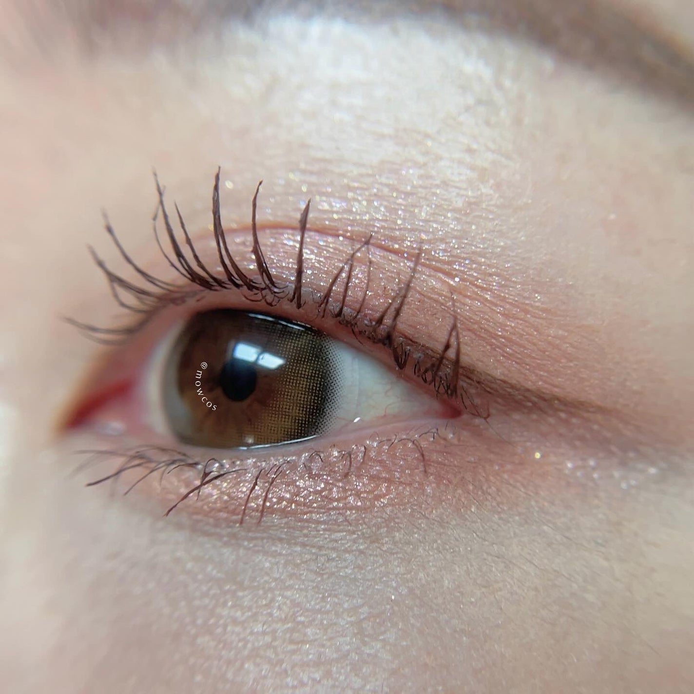 ソフトブラーリングアイパレット/wakemake/アイシャドウパレットを使ったクチコミ(5枚目)