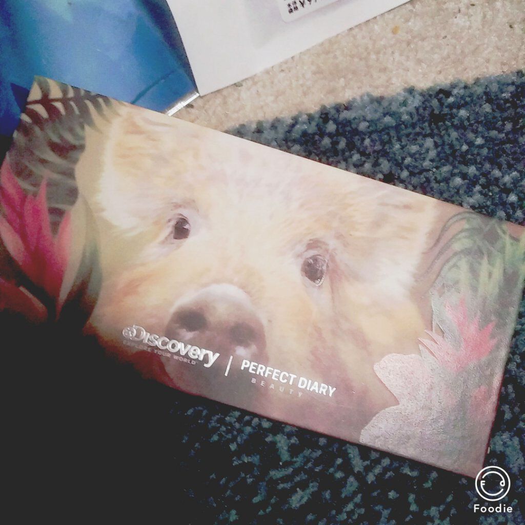 エクスプローラ12色 動物アイシャドウパレット/PERFECT DIARY/アイシャドウパレットを使ったクチコミ(1枚目)