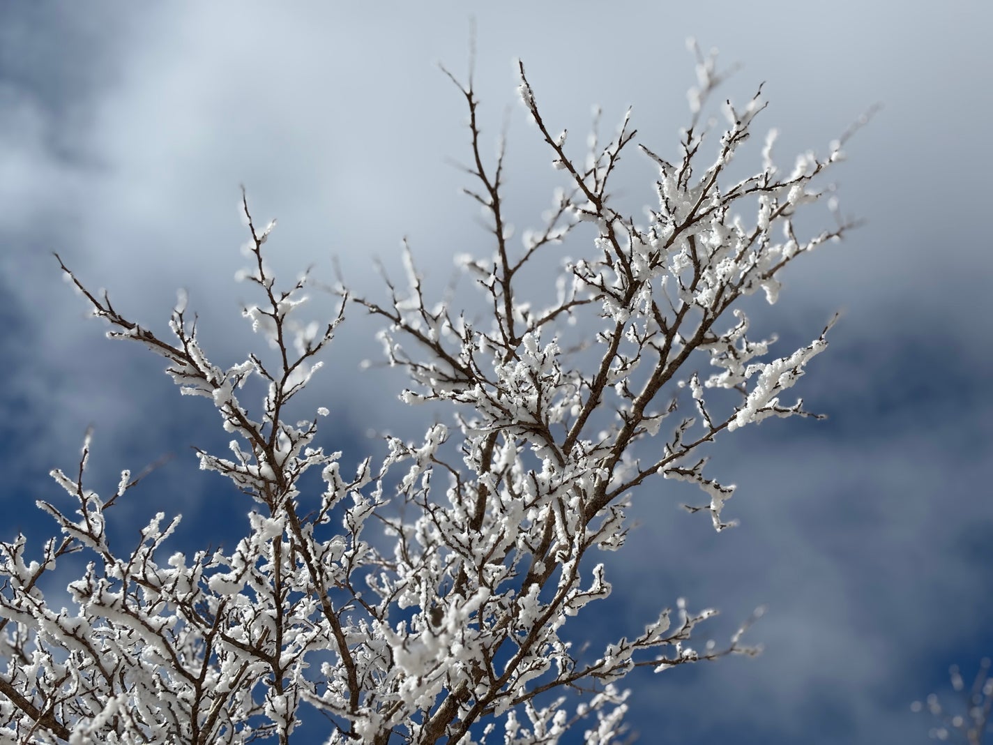 ルミナスHQブースター/アンプルール/ブースター・導入液を使ったクチコミ(6枚目)
