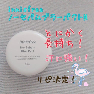 ノーセバム ブラーパクト/innisfree/プレストパウダーを使ったクチコミ（1枚目）