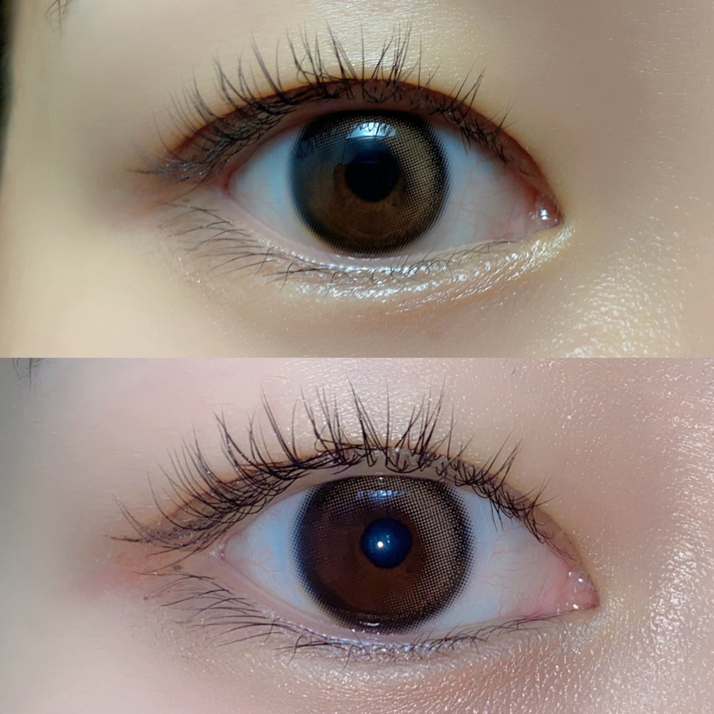 Glowy 1day/OLENS/ワンデー(1DAY)カラコンを使ったクチコミ(5枚目)