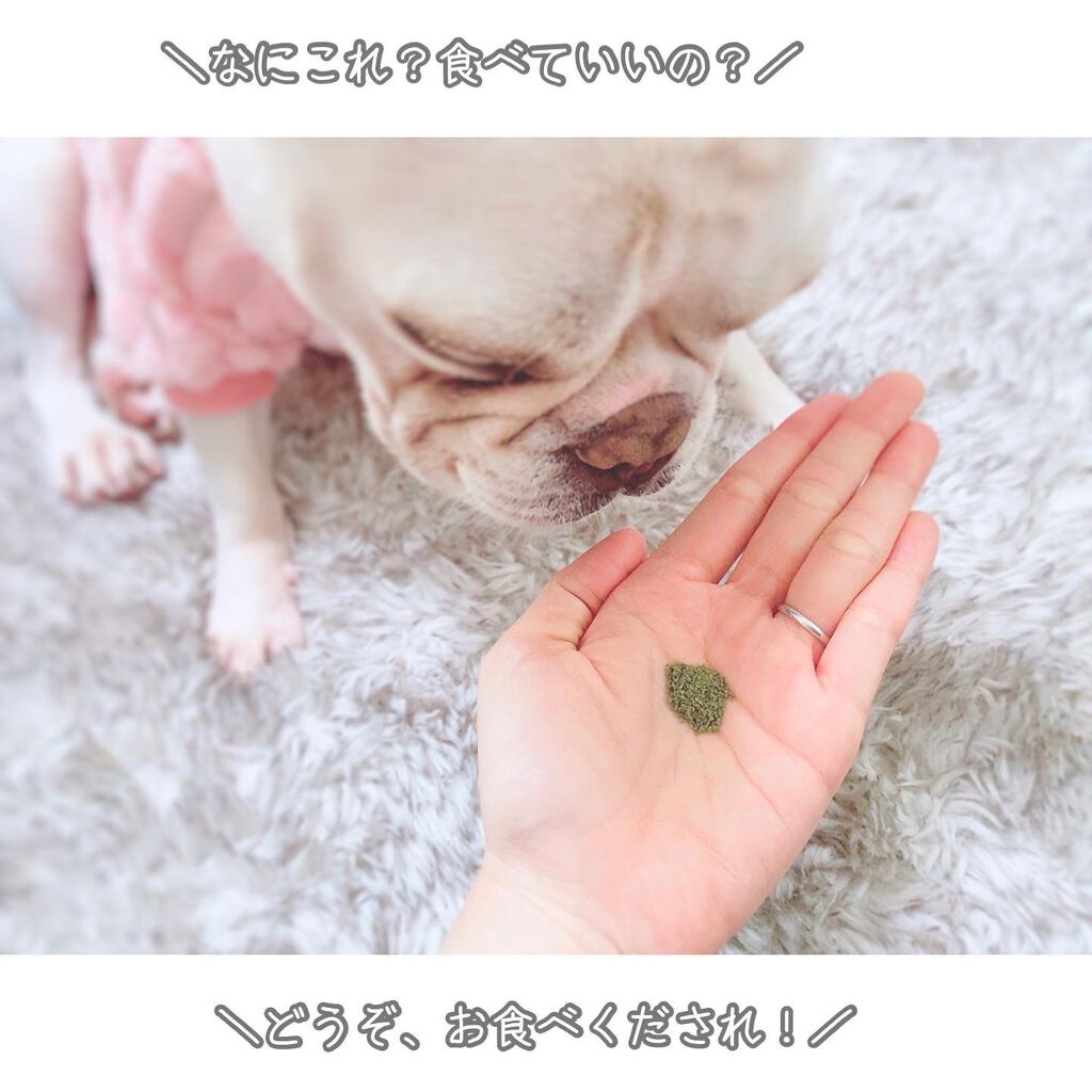 ハイ・ゲンキ スピルリナ/玄米酵素/健康サプリメントを使ったクチコミ(5枚目)