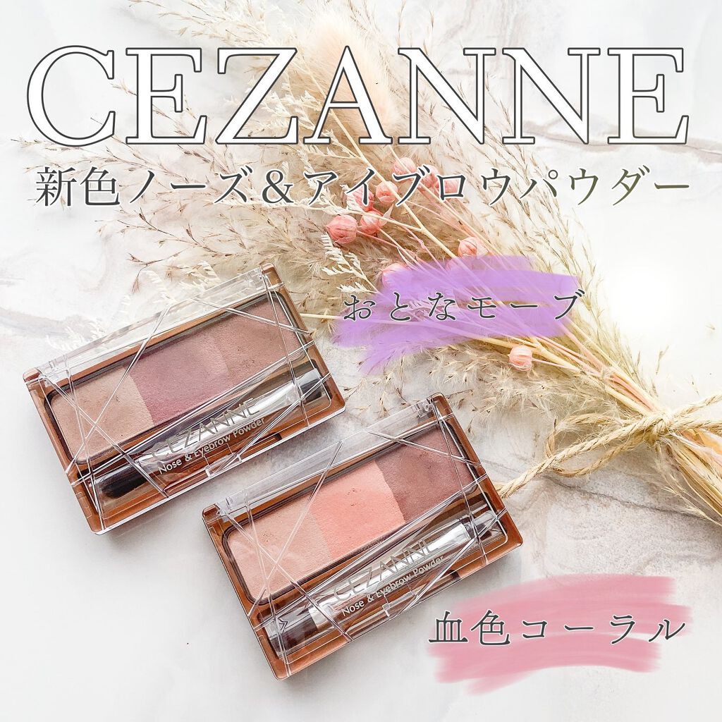 ノーズ&アイブロウパウダー/CEZANNE/パウダーアイブロウを使ったクチコミ(1枚目)