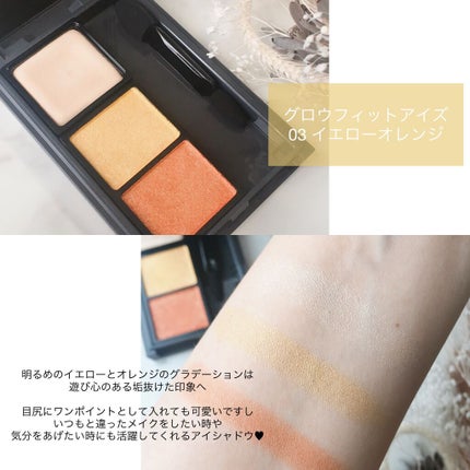 Vieta グロウフィットアイズ/ナリス化粧品/アイシャドウパレットを使ったクチコミ(4枚目)