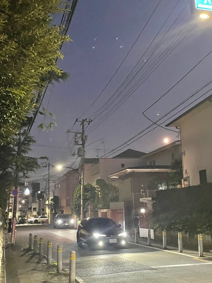 エンチャントプランプグロス/VAVI MELLO/リップグロスを使ったクチコミ(4枚目)