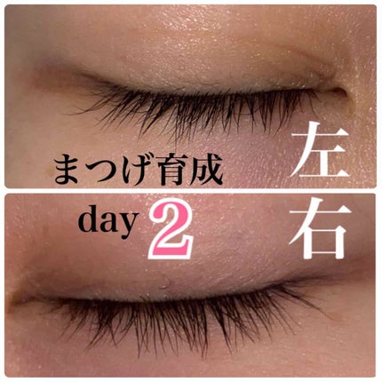 ラッシュジェリードロップ EX/MAJOLICA MAJORCA/まつげ美容液を使ったクチコミ(2枚目)