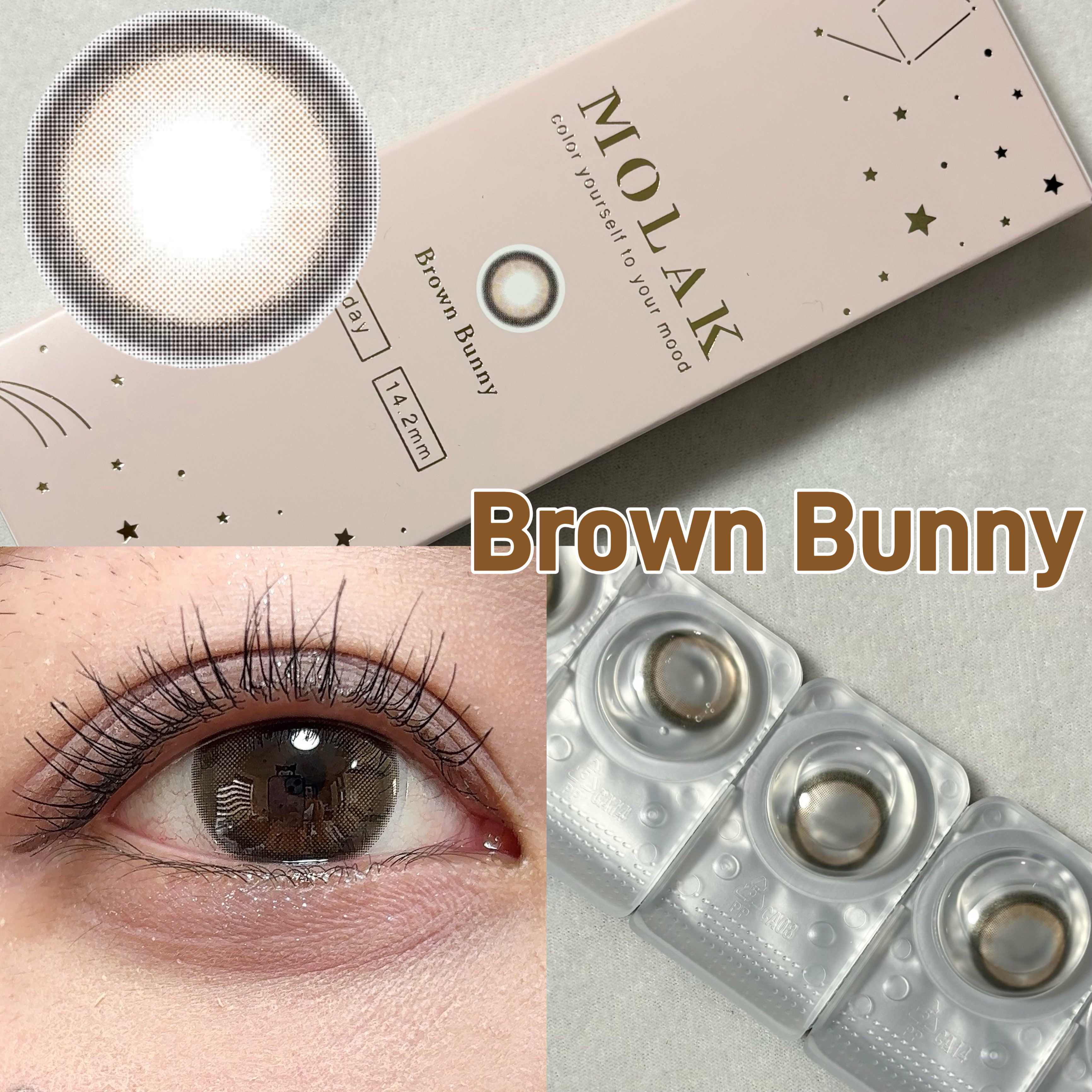 今回は、MOLAK 1day ブラウンバニーのレビューです🐰🤎

モラクは宮脇咲良さんがイメージモデルを務める
カラコンです！

ブラウンバニーは少し前の新作ですが、
ずっと気になっていたので今更購入しました！

【特徴】
✔︎︎︎︎モ