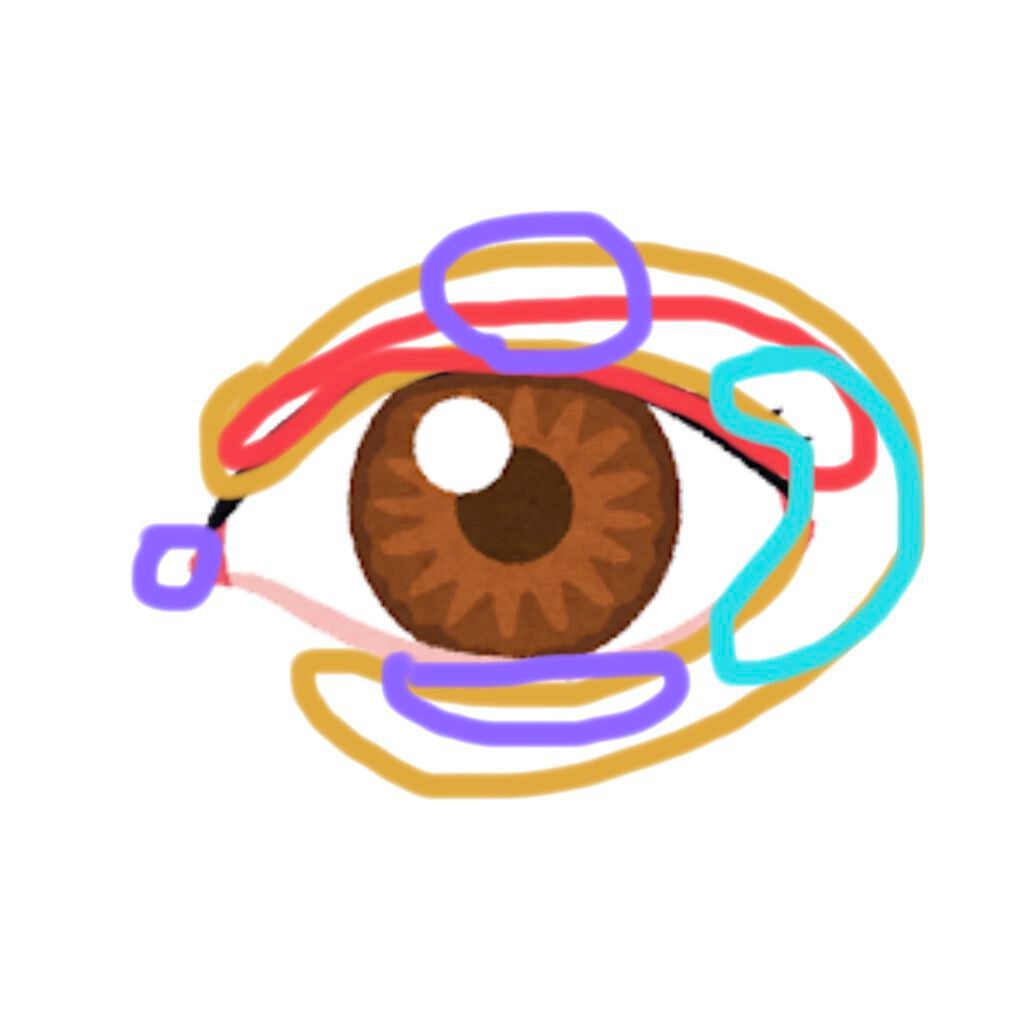 ðªððªð on LIPS ãã€ãšã¹ç§SJKã®ç§ãæçšããŠã1è»ã¢ã€ã·ã£ããŠãã¬ããâ£ïžâ£ïž..ãïŒ3æç®ïŒ