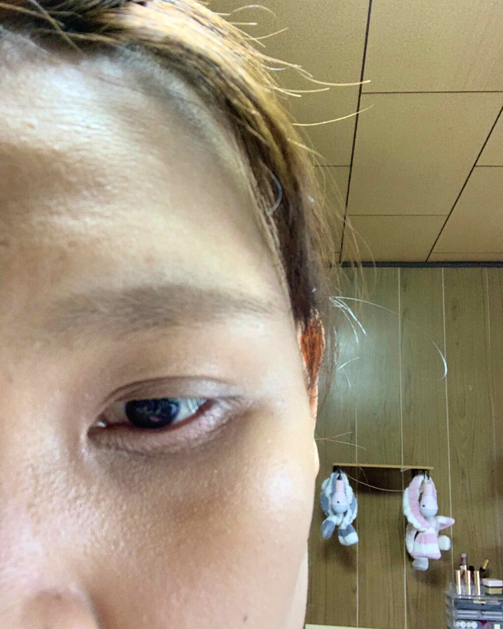 twinkle_lips_05l on LIPS 「アルビオン エクシア アイブローパウダー眉毛半分しかないのです..」(3枚目)