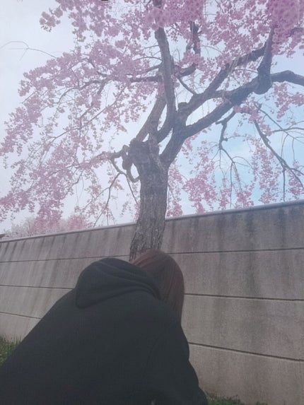 オペラ シアーリップカラー RN/OPERA/リップグロスを使ったクチコミ(2枚目)