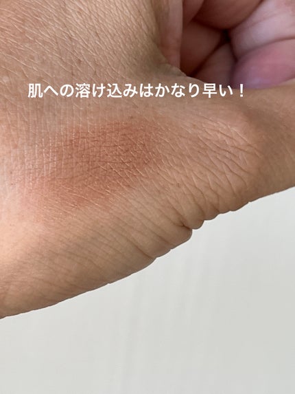 オンブル プルミエール リーブル 402 シコモア/CHANEL/単色アイシャドウを使ったクチコミ(3枚目)