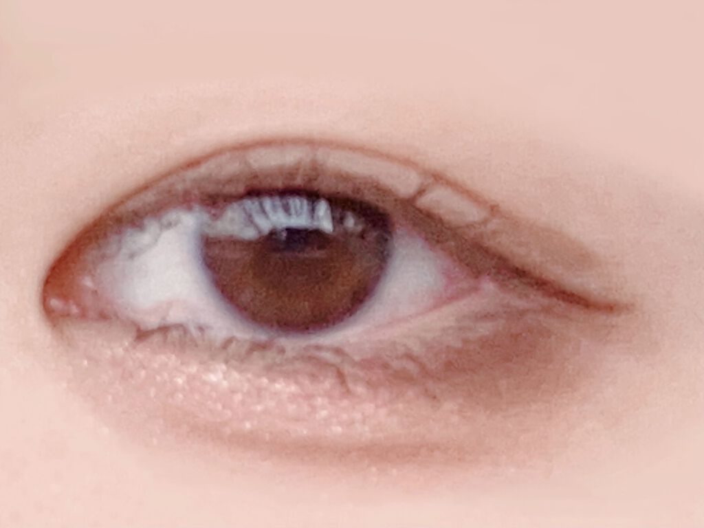 パーフェクトマルチアイズ/キャンメイク/アイシャドウパレットを使ったクチコミ（1枚目）