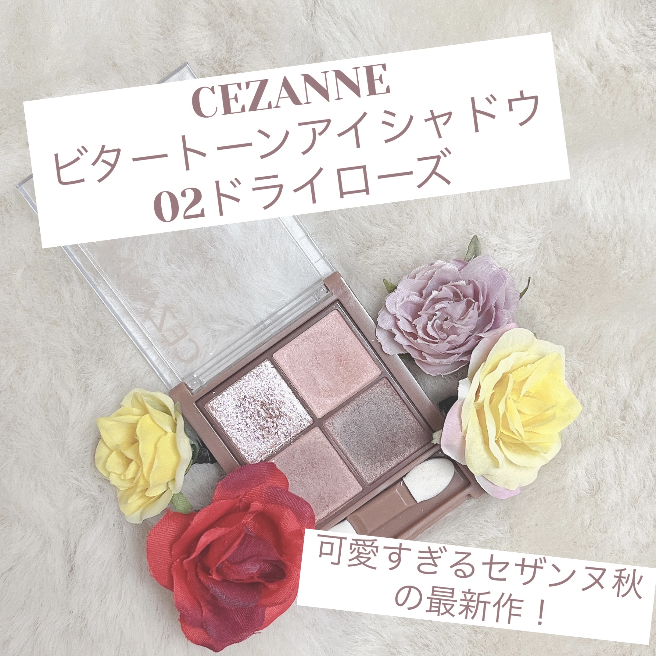 ビタートーンアイシャドウ/CEZANNE/パウダーアイシャドウを使ったクチコミ（1枚目）