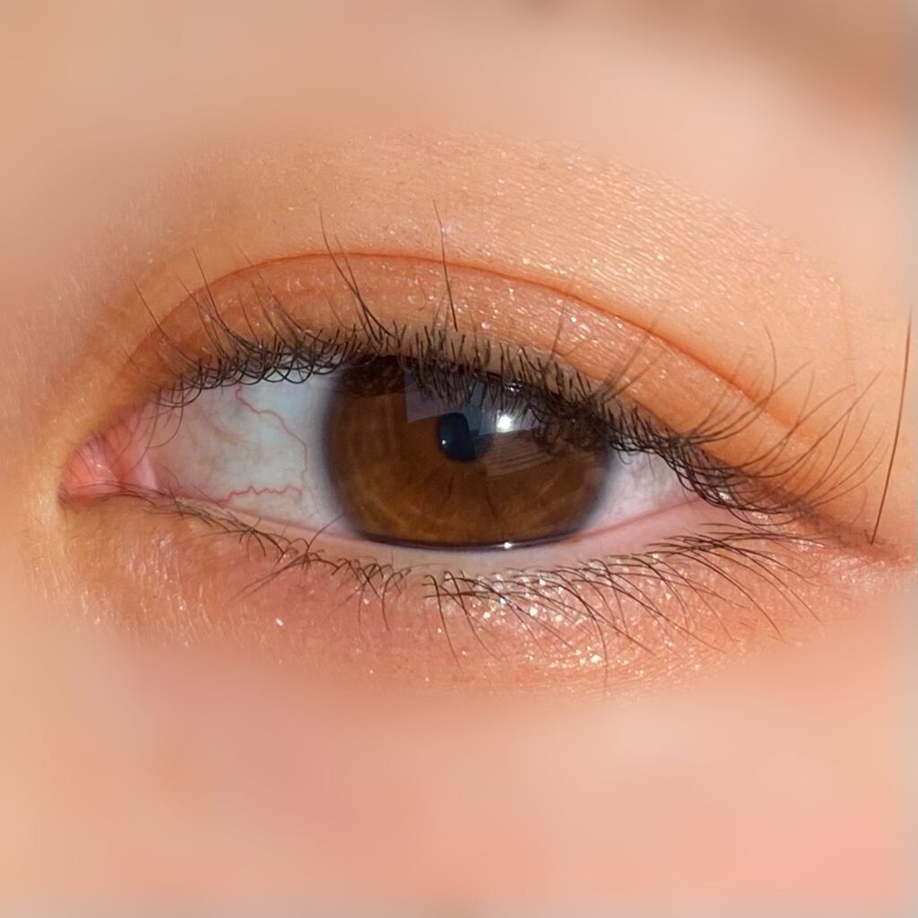 シャドーカスタマイズ/MAJOLICA MAJORCA/単色アイシャドウを使ったクチコミ（2枚目）