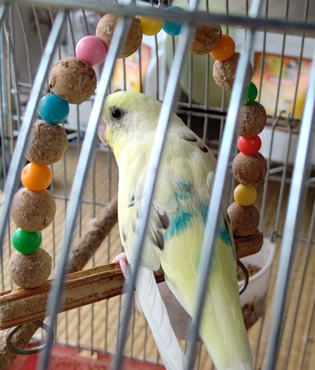 ジェルアイライナー/CEZANNE/ジェルアイライナーを使ったクチコミ(2枚目)