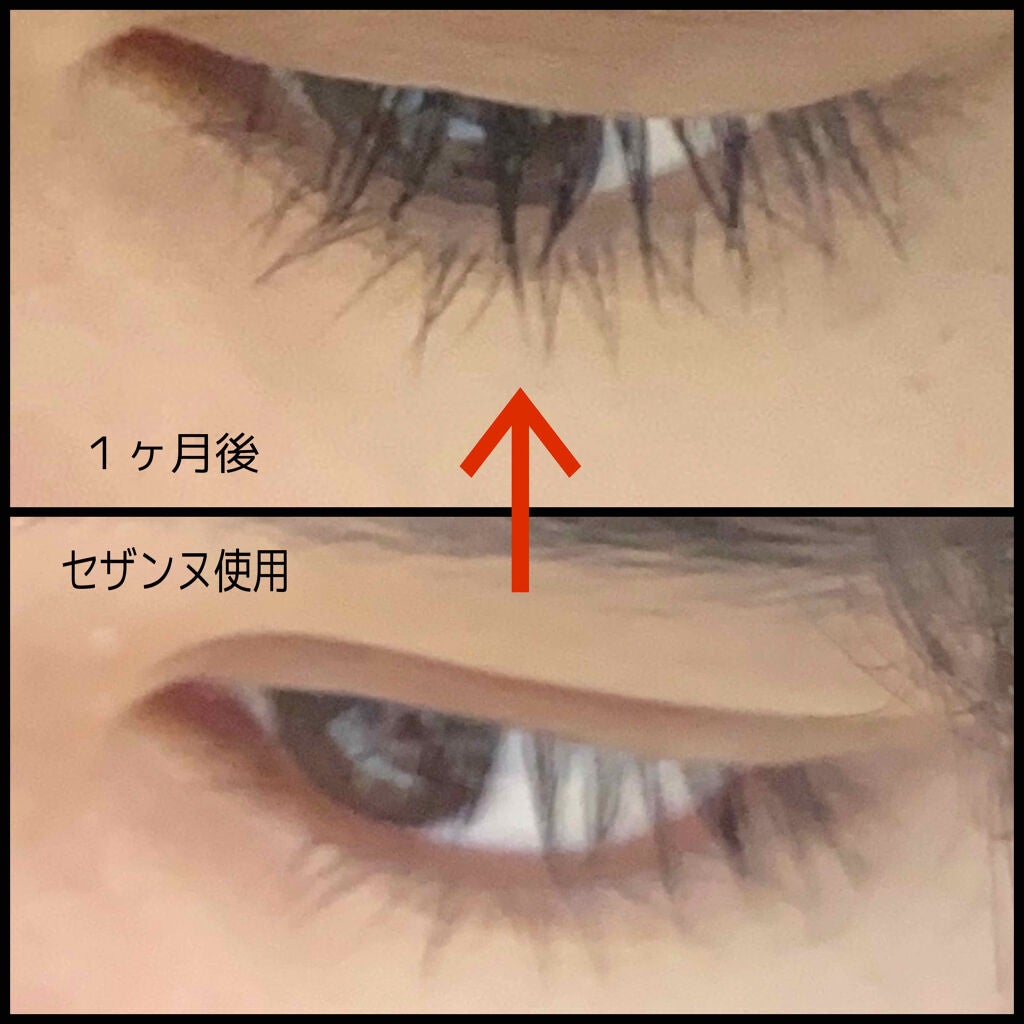 ラピッドラッシュ(R) 日本仕様正規品/ベリタス/まつげ美容液を使ったクチコミ(1枚目)