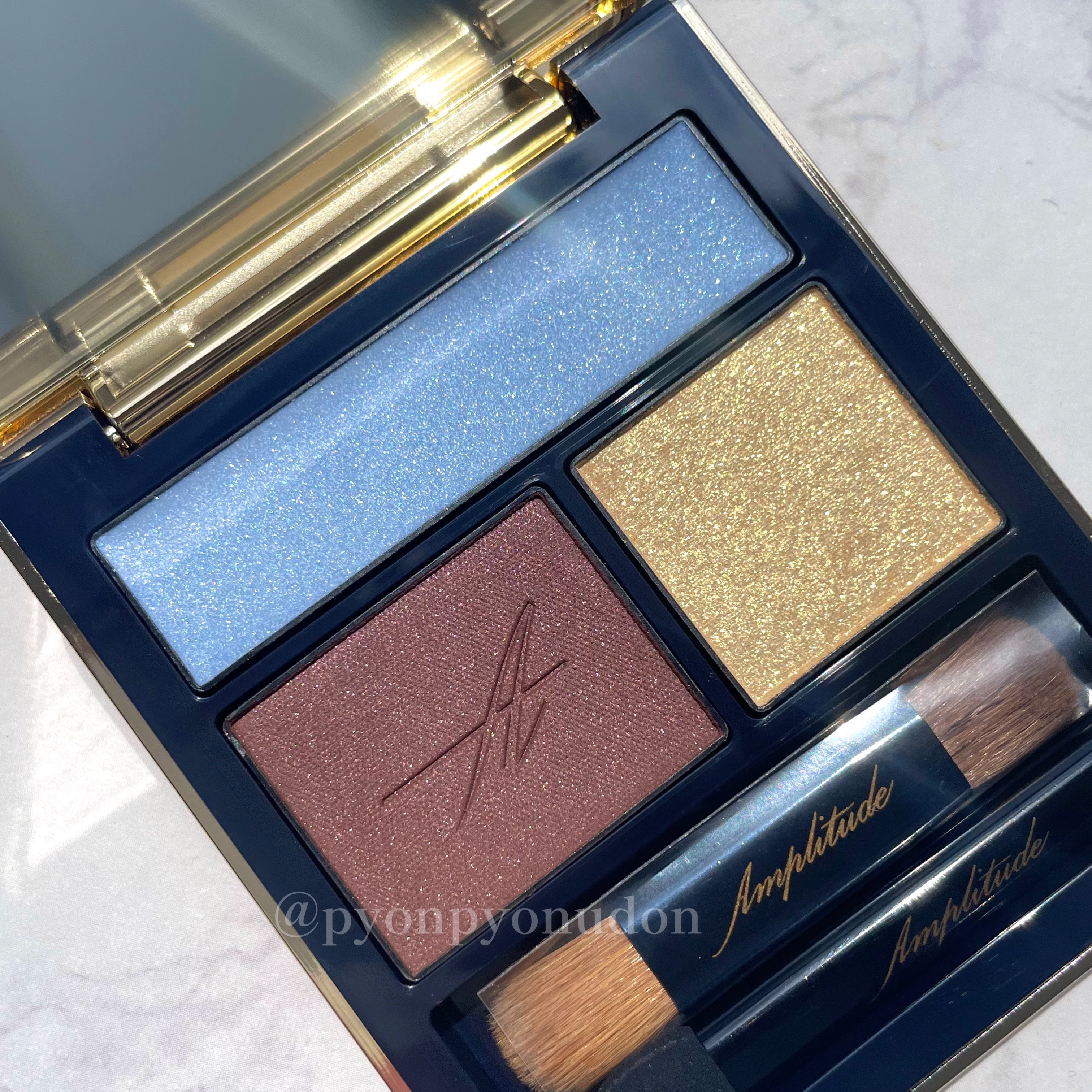 コンスピキュアス アイズ 09 ブルーブラウン（限定色）/Amplitude/アイシャドウパレットを使ったクチコミ（1枚目）