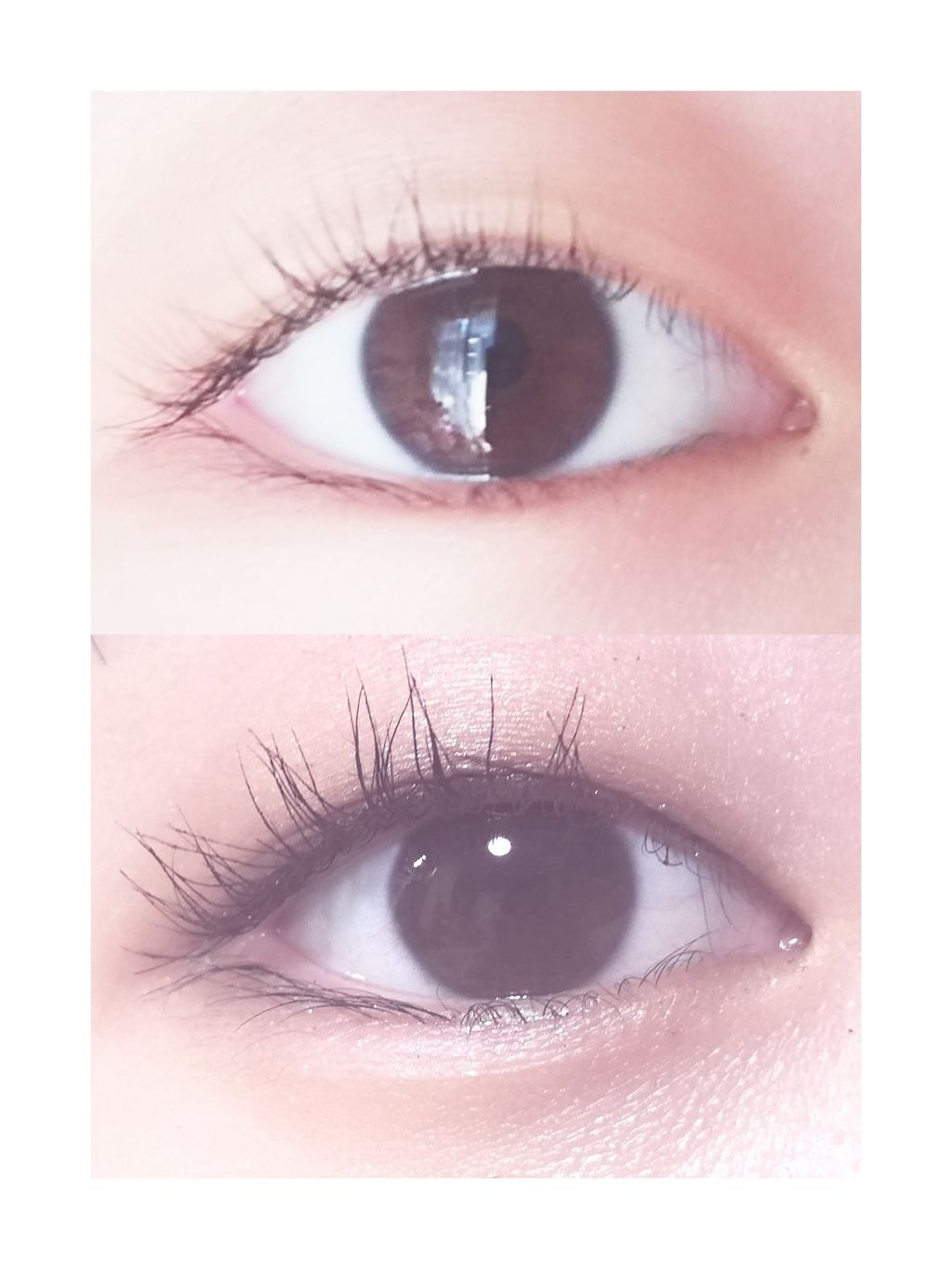 アイラッシュカーラー /SHISEIDO/ビューラーを使ったクチコミ(2枚目)