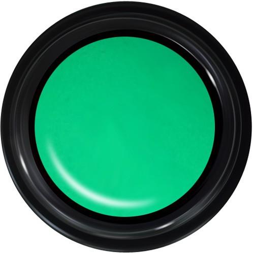 プリムドール 617 キウィランド