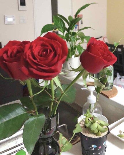 つやぷるリップR/b idol/口紅を使ったクチコミ(1枚目)