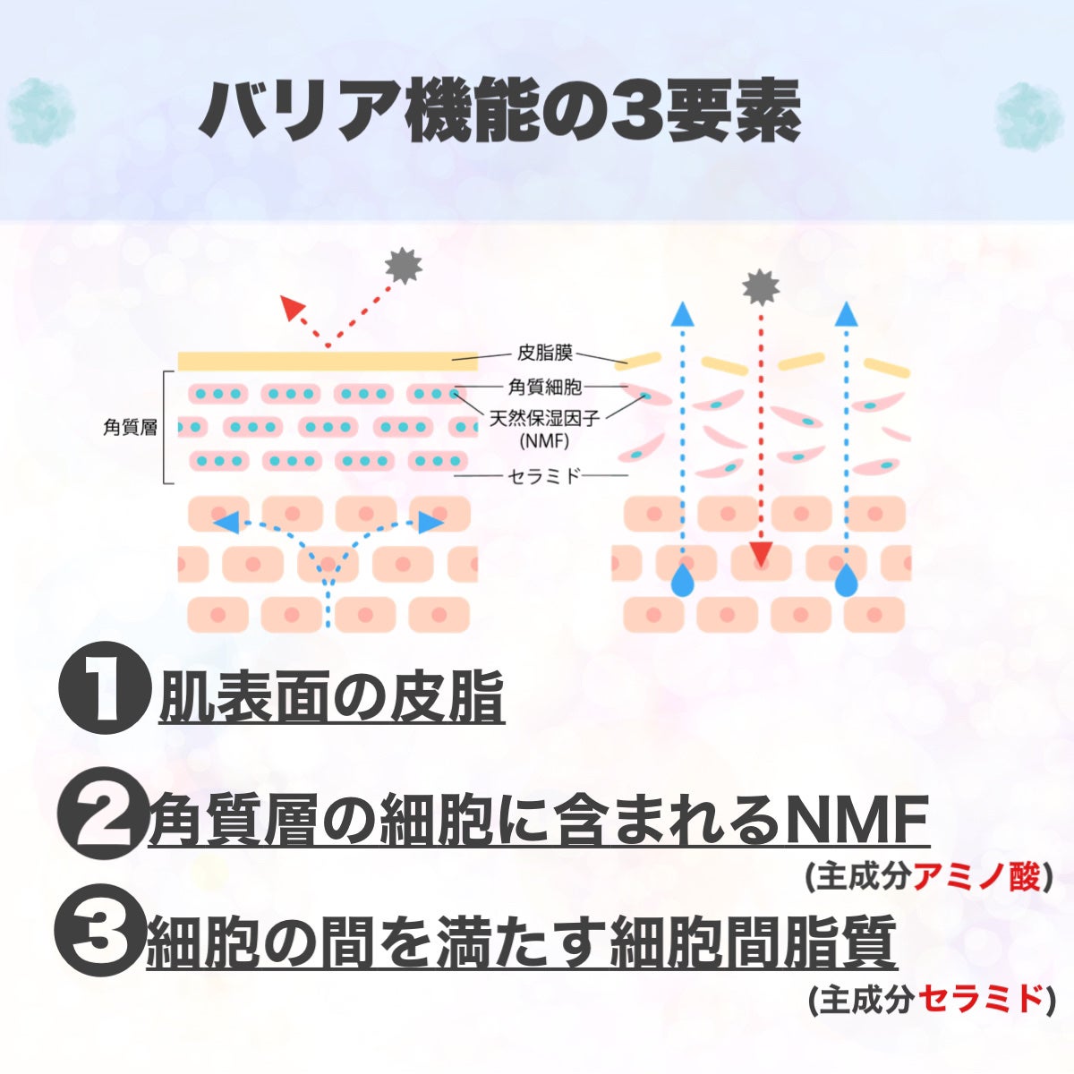 潤浸保湿 フェイスクリーム/キュレル/フェイスクリームを使ったクチコミ(4枚目)