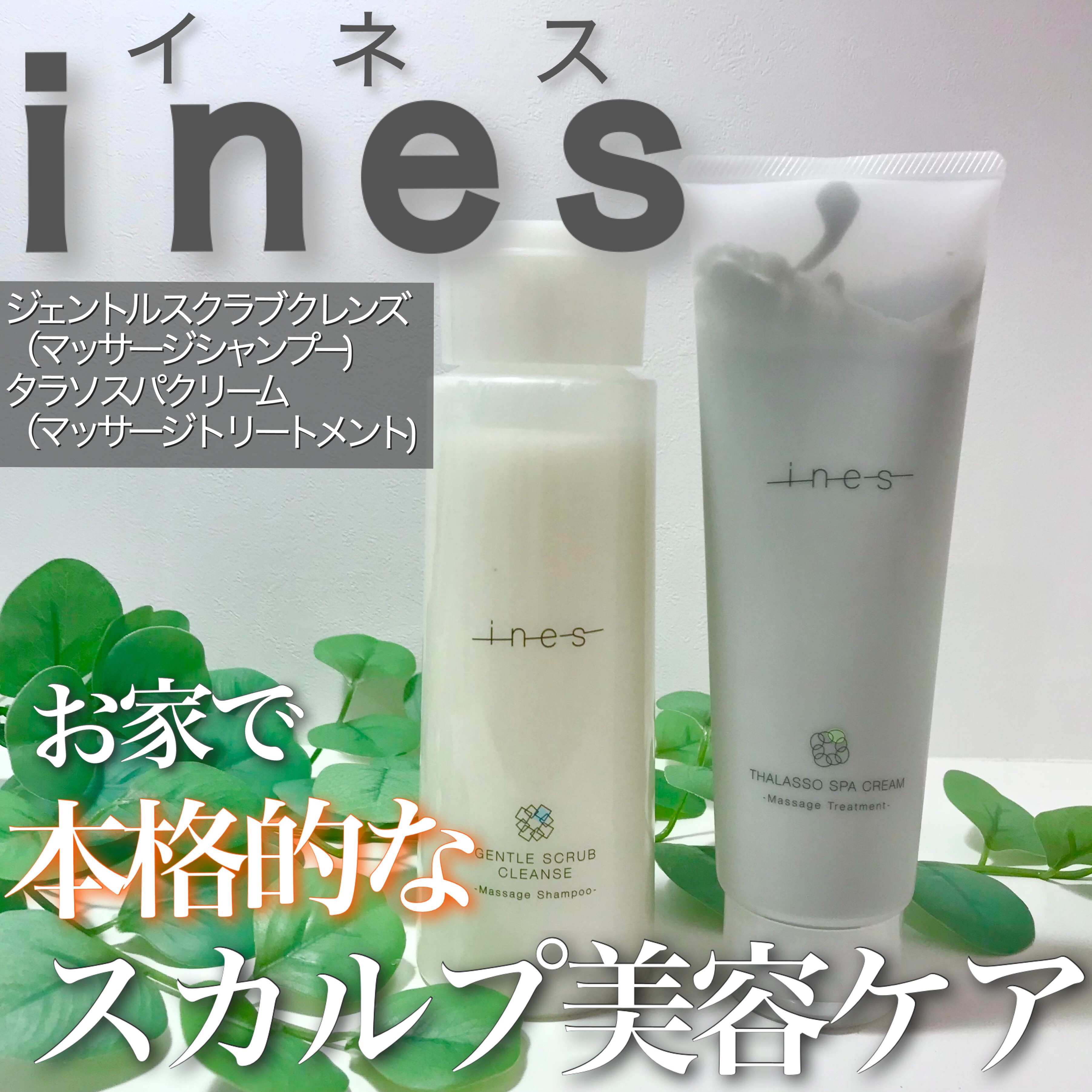ジェントル スクラブ クレンズ/ines/市販シャンプーを使ったクチコミ（1枚目）