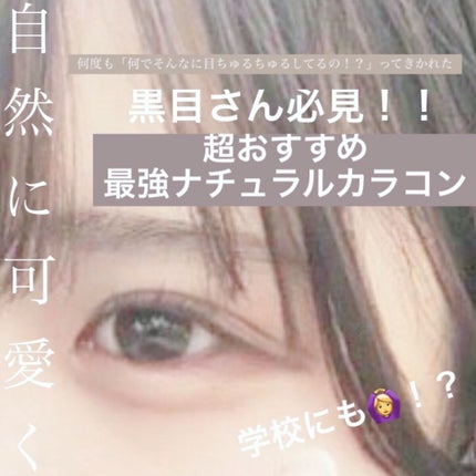 ReVIA 1day/ReVIA/ワンデー(1DAY)カラコンを使ったクチコミ(1枚目)